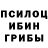 Галлюциногенные грибы мицелий Vera Cats