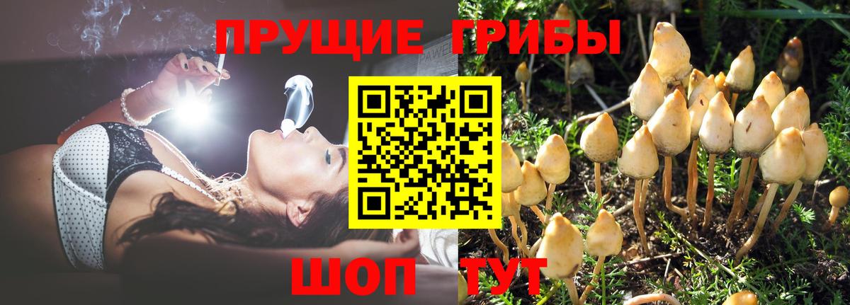 Нижний Новгород  Галлюциногенные грибы ЛСД  Вход с VPN 